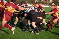 Parks Second Try