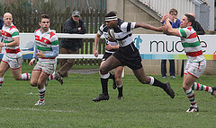 Oscar scores Park's opening try